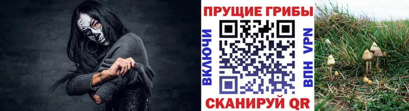 купить  цена  Полевской  Псилоцибиновые грибы ЛСД 